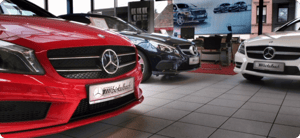 Birkelbach thumbnail bento_